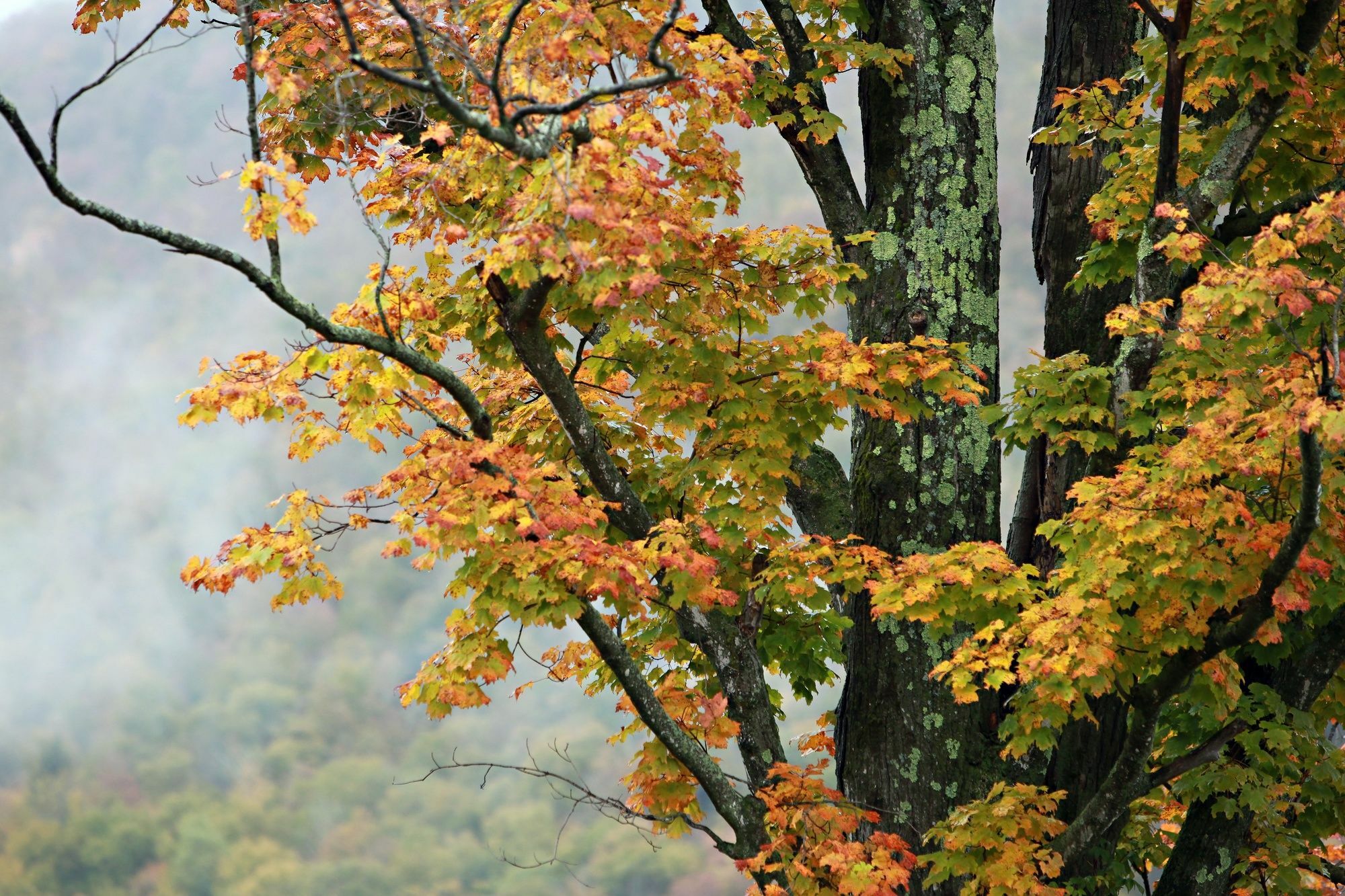 Trailside Inn Killington Dış mekan fotoğraf